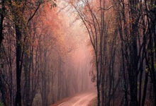 PG电子娱乐：伦敦偶遇，热刺前锋里沙利松晒与穆里尼奥合照.