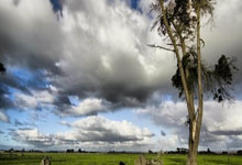 PG电子娱乐：冲击百冠德约科维奇两盘横扫迪米特洛夫，晋级迈阿密站决赛.