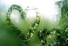 中国男足FIFA排名上升至第90位 亚洲位列第13.