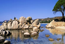 PG电子娱乐:伦敦偶遇,热刺前锋里沙利松晒与穆里尼奥合照.